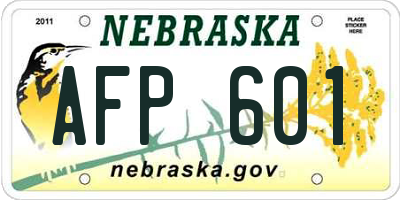 NE license plate AFP601