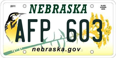 NE license plate AFP603