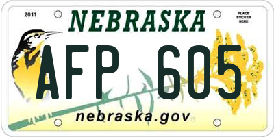 NE license plate AFP605