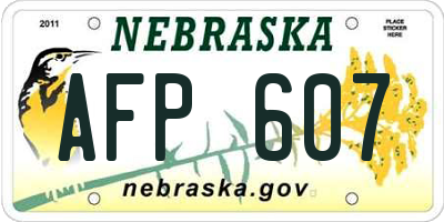 NE license plate AFP607