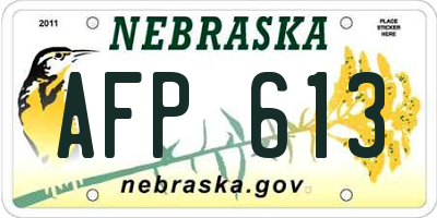 NE license plate AFP613