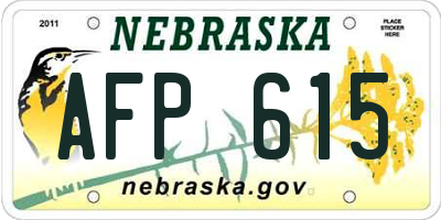 NE license plate AFP615