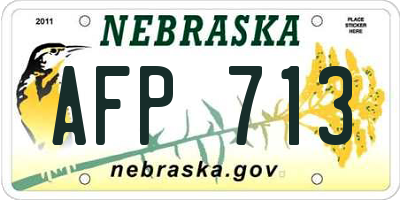NE license plate AFP713