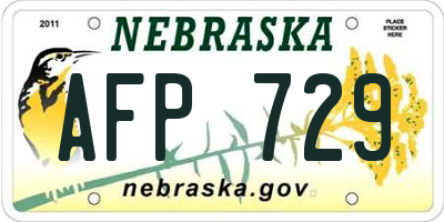 NE license plate AFP729