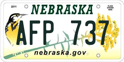 NE license plate AFP737