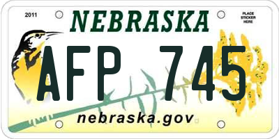 NE license plate AFP745