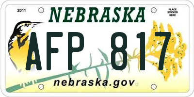 NE license plate AFP817