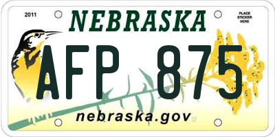 NE license plate AFP875