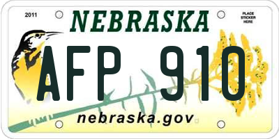 NE license plate AFP910