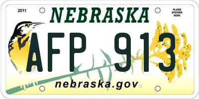 NE license plate AFP913