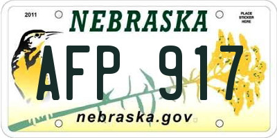 NE license plate AFP917