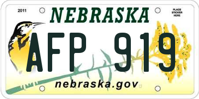 NE license plate AFP919