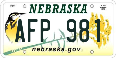 NE license plate AFP981