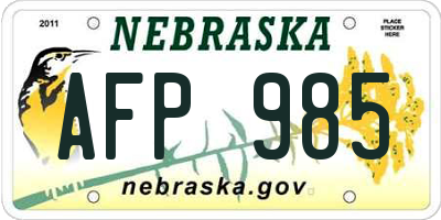 NE license plate AFP985