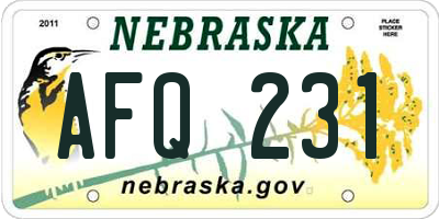 NE license plate AFQ231