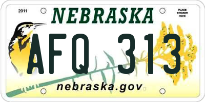 NE license plate AFQ313