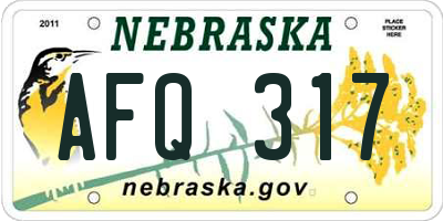 NE license plate AFQ317