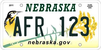 NE license plate AFR123