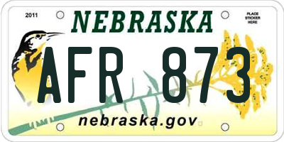 NE license plate AFR873