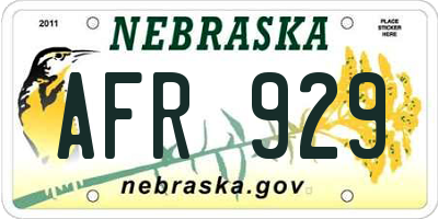 NE license plate AFR929