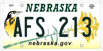 NE license plate AFS213