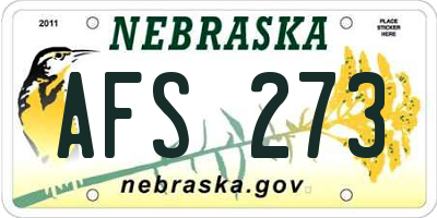 NE license plate AFS273