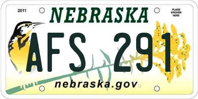 NE license plate AFS291