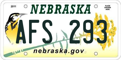 NE license plate AFS293