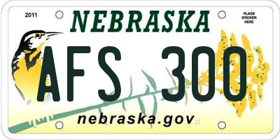 NE license plate AFS300