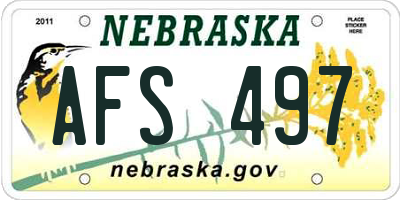 NE license plate AFS497