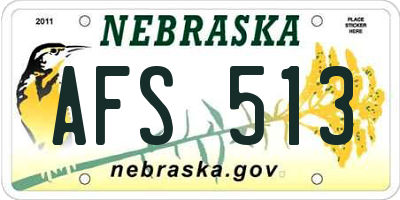 NE license plate AFS513