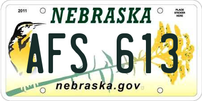 NE license plate AFS613