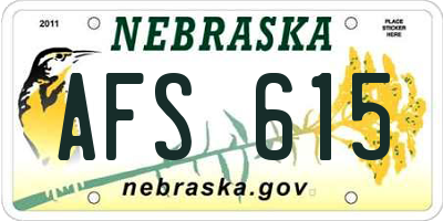 NE license plate AFS615