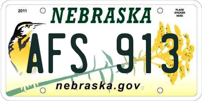 NE license plate AFS913