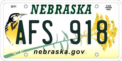 NE license plate AFS918