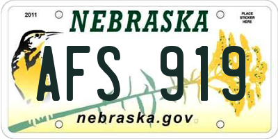 NE license plate AFS919