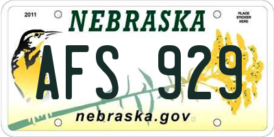 NE license plate AFS929