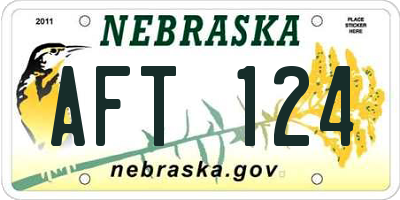 NE license plate AFT124