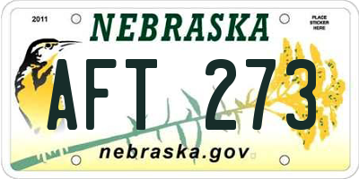 NE license plate AFT273
