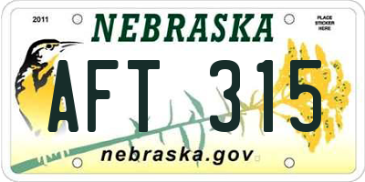 NE license plate AFT315