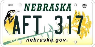 NE license plate AFT317