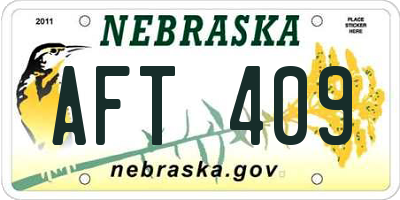 NE license plate AFT409