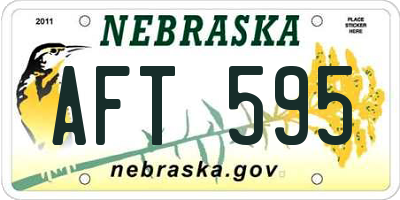 NE license plate AFT595