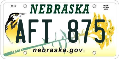 NE license plate AFT875