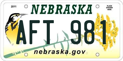 NE license plate AFT981