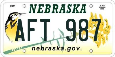 NE license plate AFT987