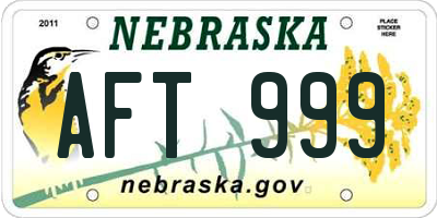NE license plate AFT999