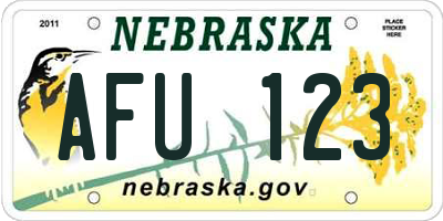 NE license plate AFU123