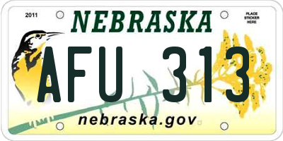 NE license plate AFU313