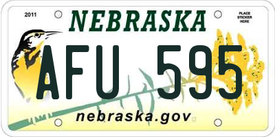 NE license plate AFU595